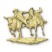 Steer Wrestling