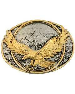 Soaring Eagle