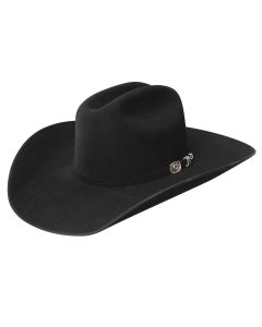Resistol diamond horseshoe sales 20x