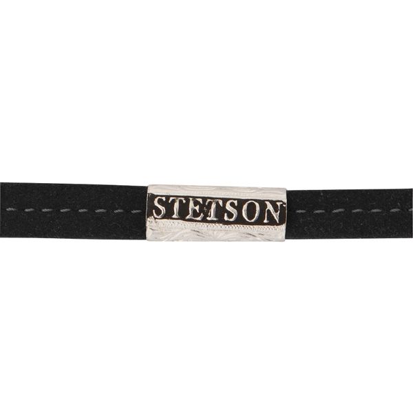stetson silver mine
