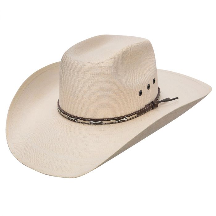stetson palm hat